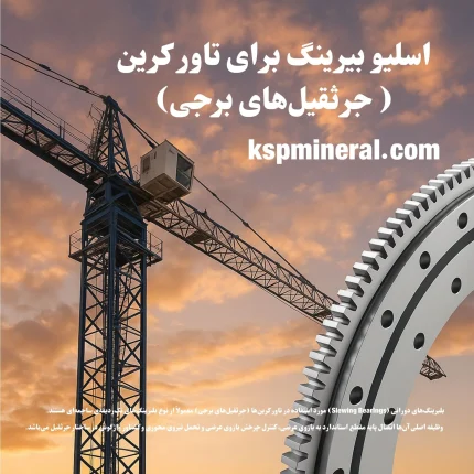 Slew Bearing for Tower Cranes (Tower Cranes)